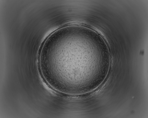 X0000091181042200708231524
