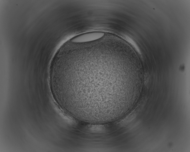 X0000091181043200708231524