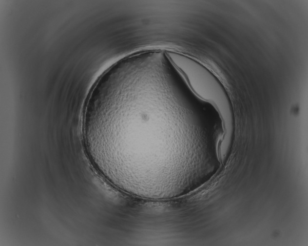 X0000091181044200708231524