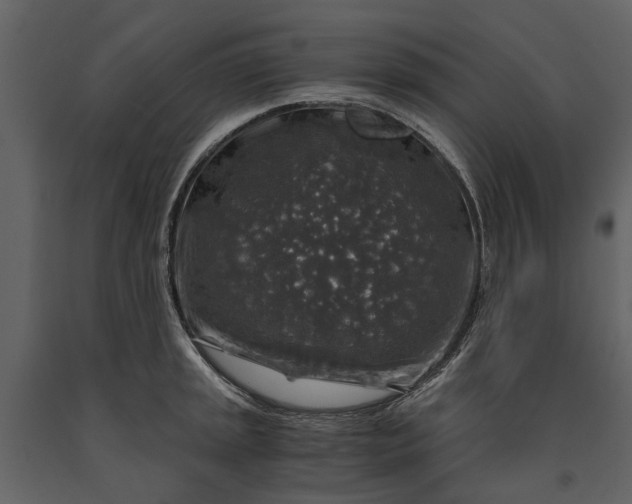 X0000091181045200708231524