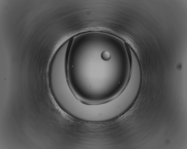 X0000091181046200708231524