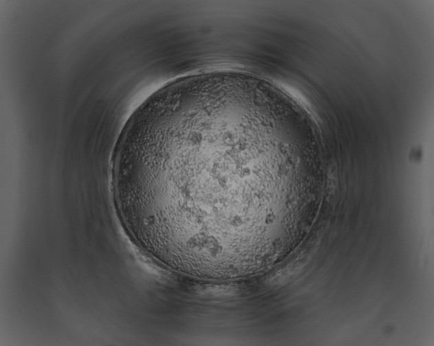 X0000091181047200708231524