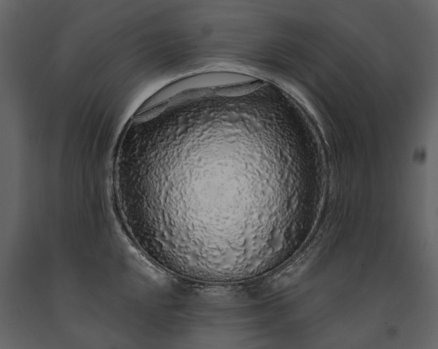 X0000091181048200708231524