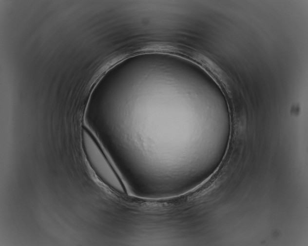 X0000091181049200708231524