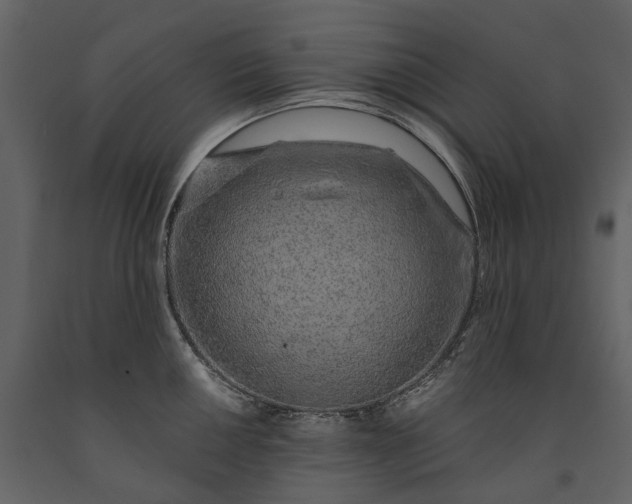 X0000091181050200708231524