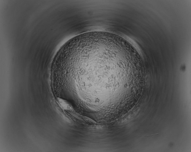 X0000091181051200708231524