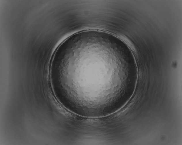 X0000091181052200708231524