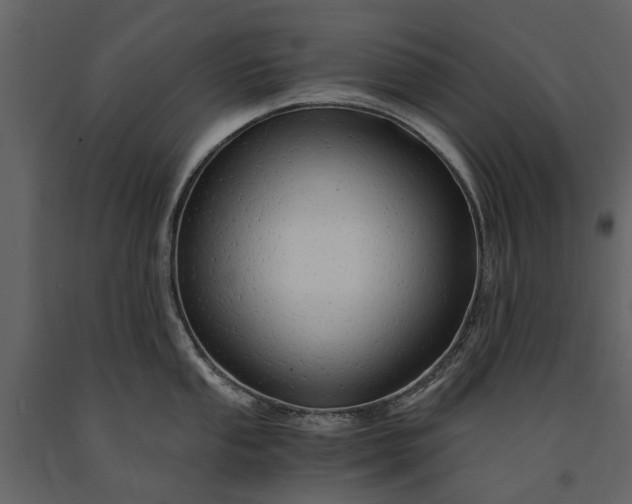 X0000091181053200708231524