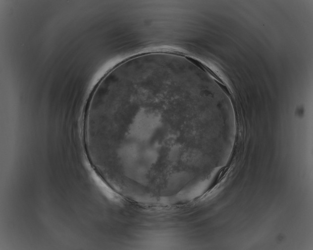 X0000091181054200708231524