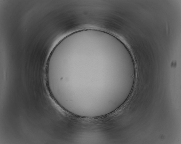 X0000091181056200708231524