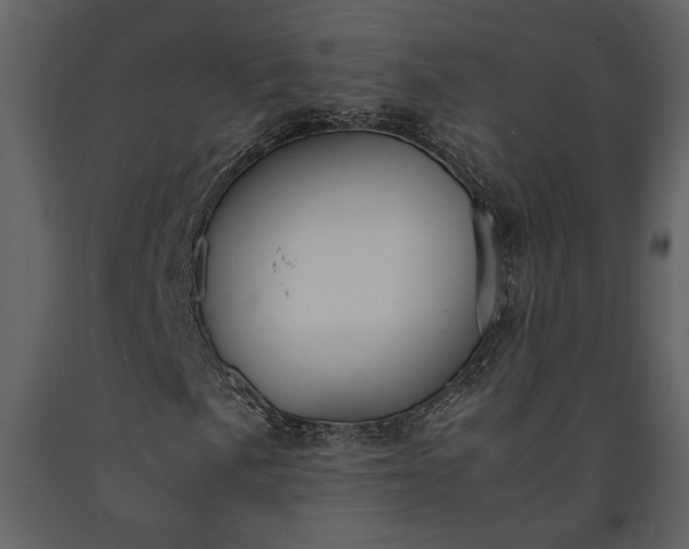 X0000091181057200708231524