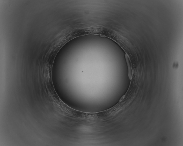 X0000091181058200708231524