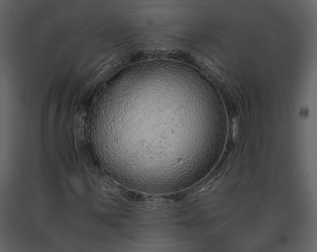 X0000091181059200708231524