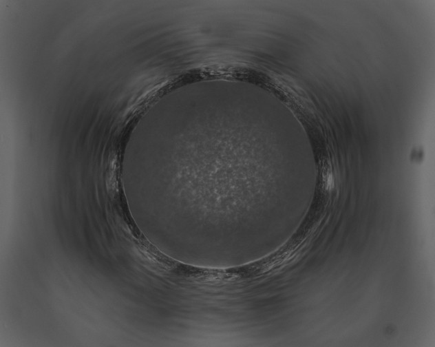 X0000091181060200708231524
