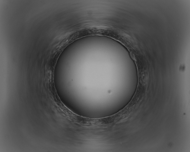 X0000091181061200708231524