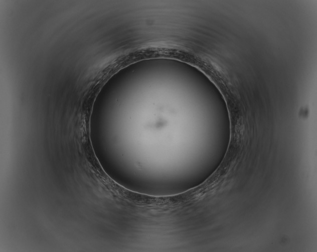X0000091181062200708231524