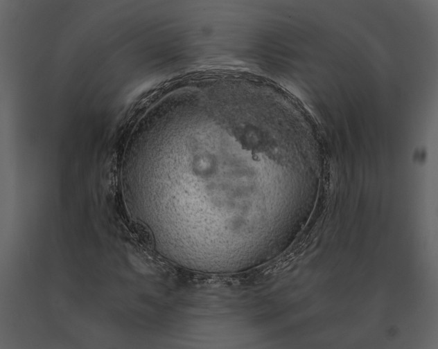 X0000091181063200708231524