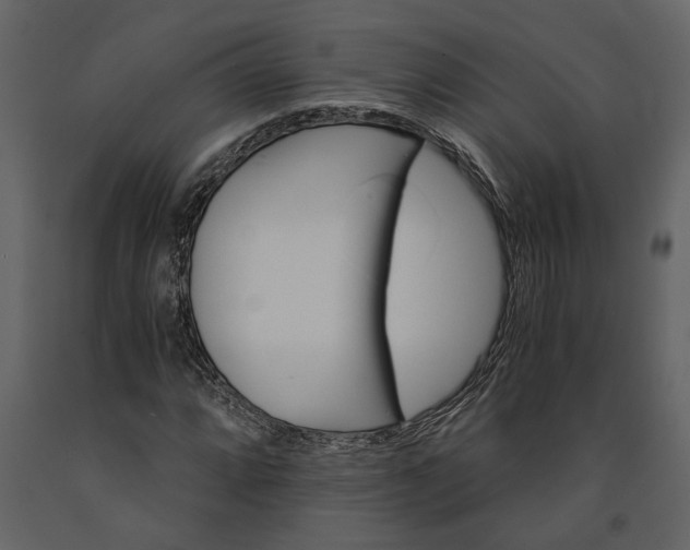 X0000091181064200708231524