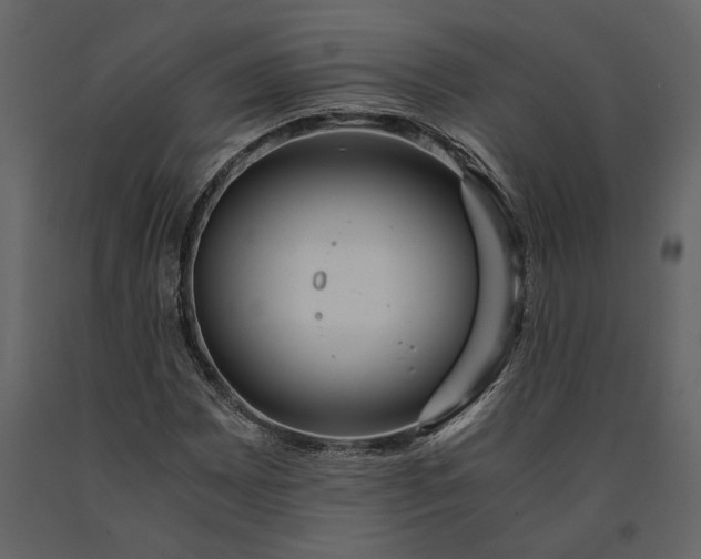 X0000091181065200708231524