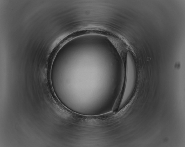 X0000091181066200708231524