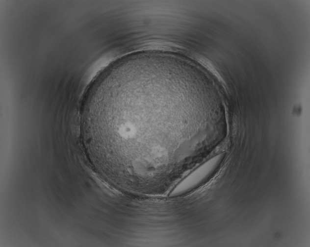 X0000091181067200708231523