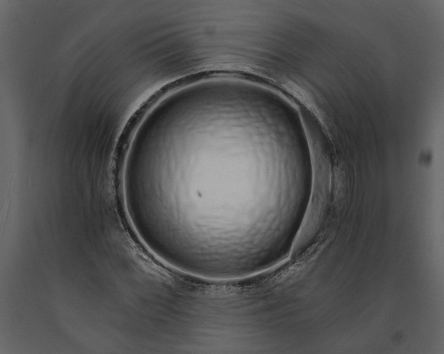 X0000091181068200708231523