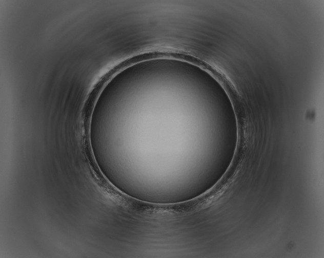 X0000091181070200708231523