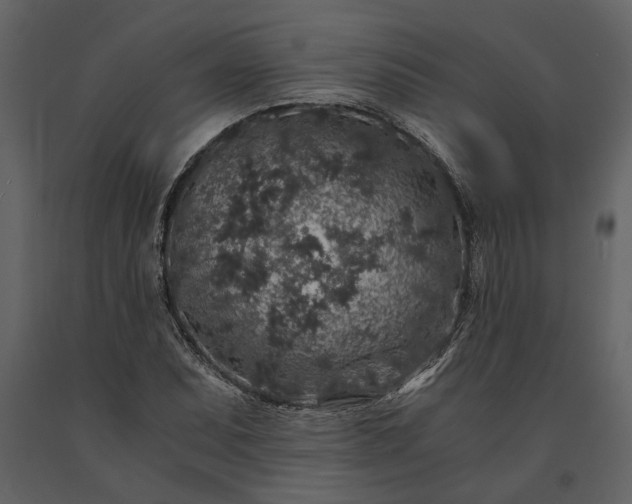X0000091181071200708231523