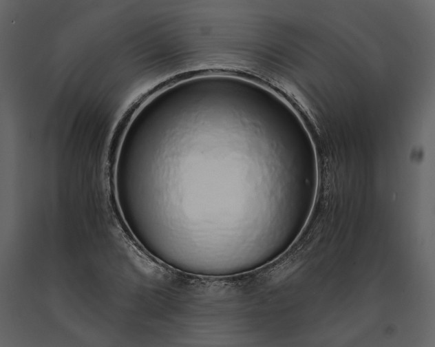 X0000091181072200708231523