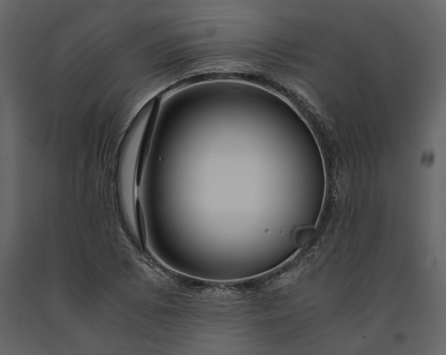 X0000091181073200708231523