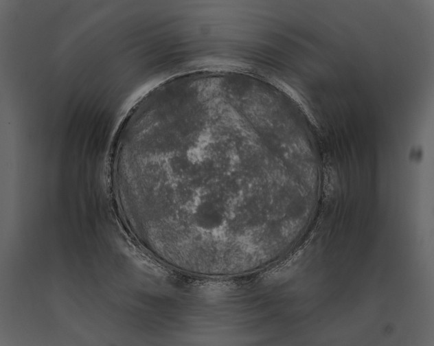 X0000091181074200708231523