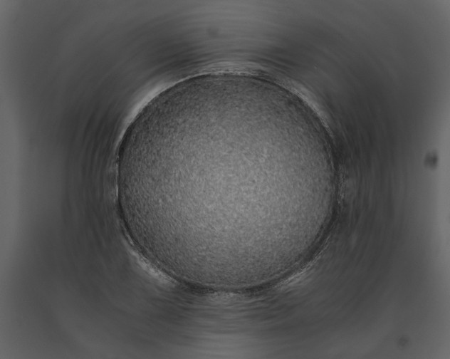 X0000091181075200708231523