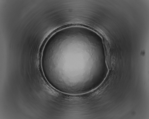 X0000091181076200708231523