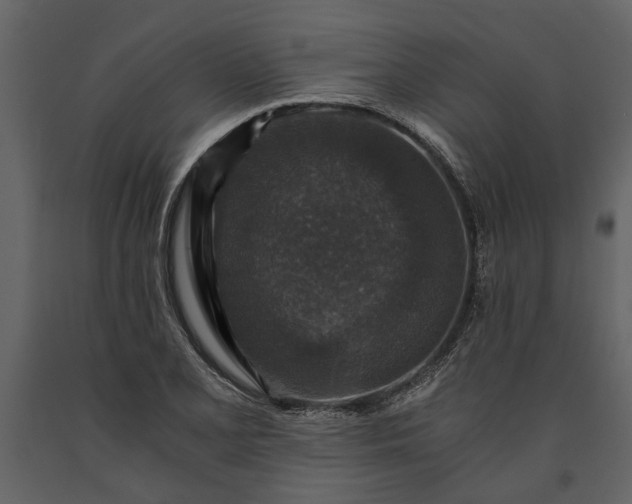 X0000091181077200708231523