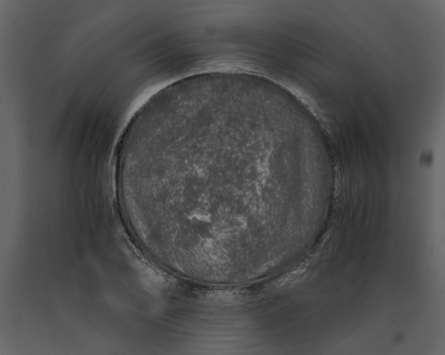 X0000091181078200708231523