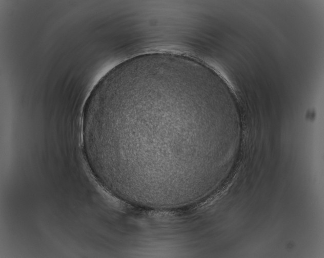 X0000091181079200708231523