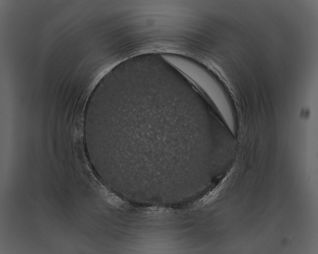 X0000091181081200708231523