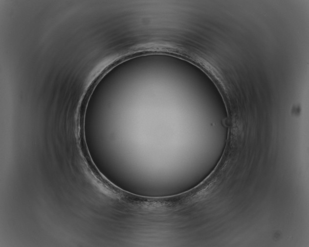 X0000091181082200708231523