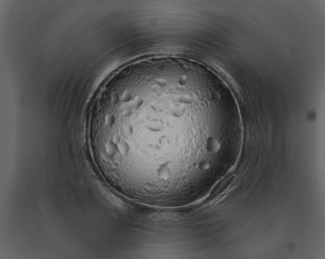 X0000091181083200708231523
