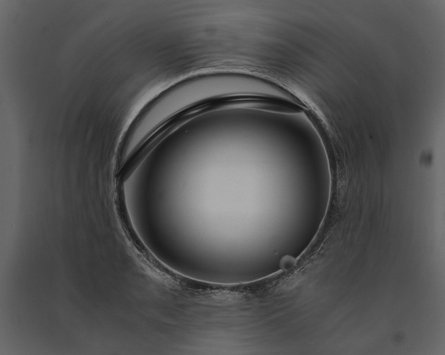 X0000091181085200708231523