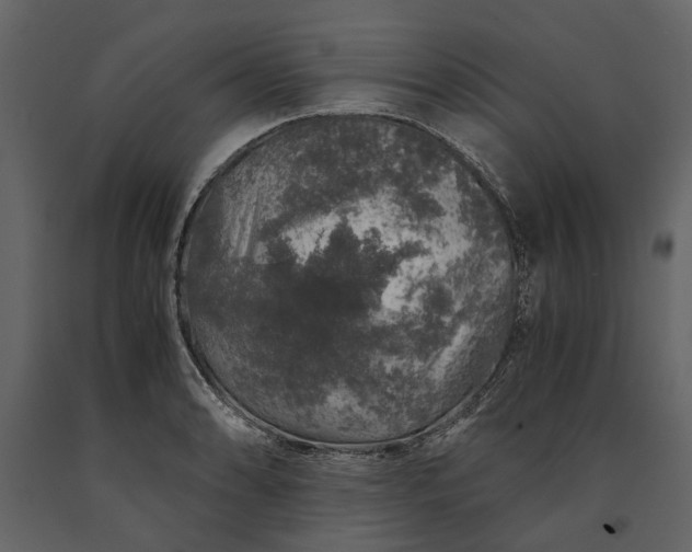 X0000091181086200708231523