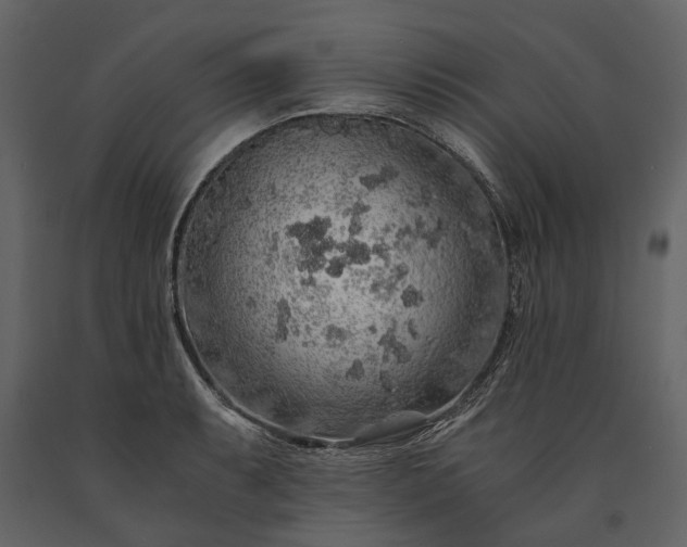 X0000091181087200708231523