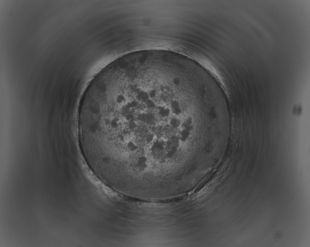 X0000091181088200708231523