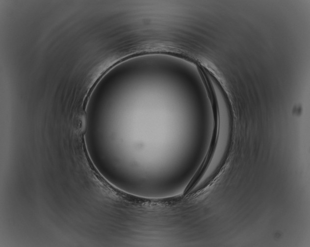X0000091181089200708231523