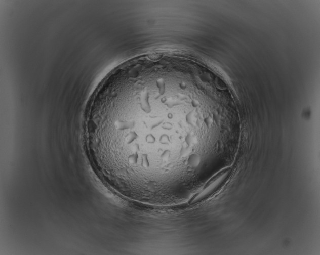 X0000091181091200708231523