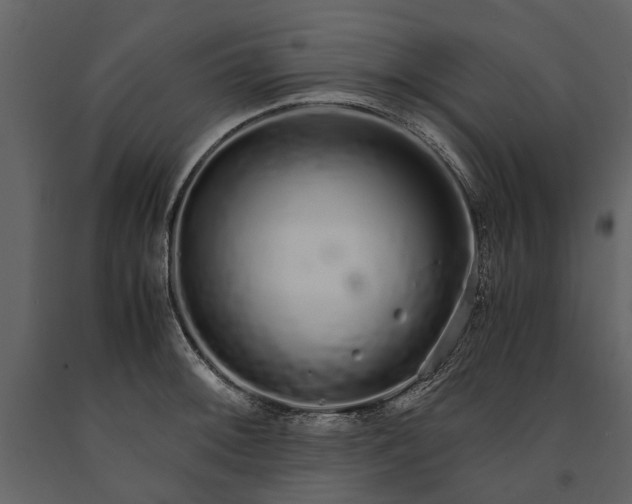 X0000091181092200708231523