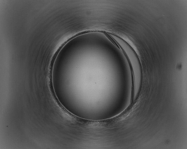 X0000091181093200708231523