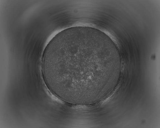 X0000091181094200708231523
