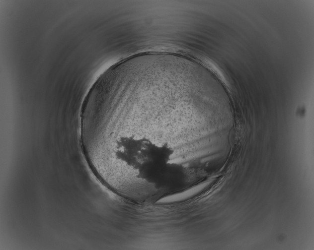 X0000091181095200708231523