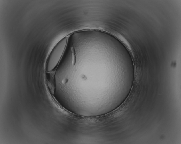 X0000091181096200708231523